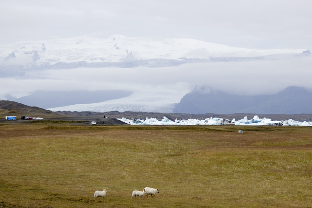 2011-07-06_10-22-47 island.jpg - Blick zum Jkulsarlon vor dem Breidamerkurjkull